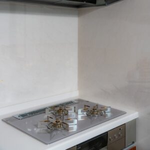cleaning-foodrange&stove